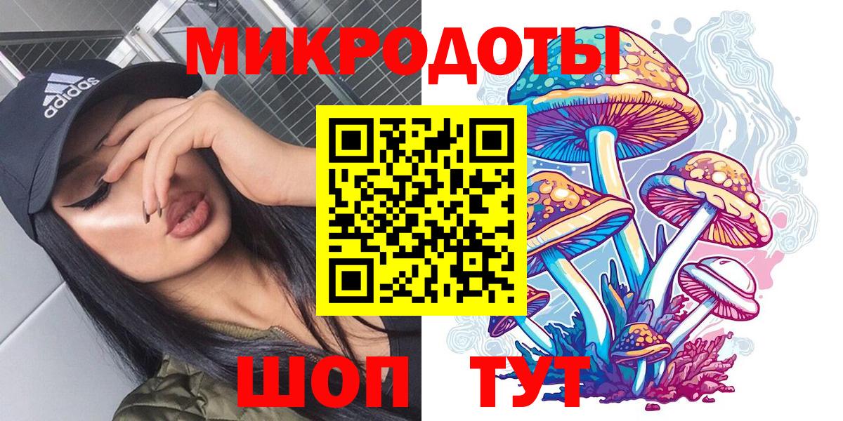 Галлюциногенные грибы мухоморы Великий Устюг