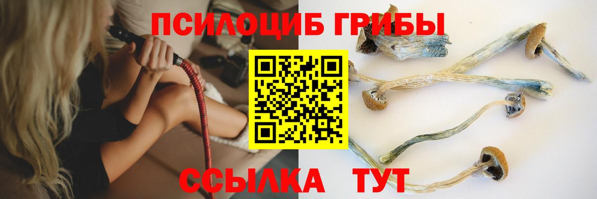 Галлюциногенные грибы Psilocybine cubensis  Вход с VPN  Великий Устюг 